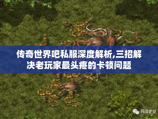 传奇世界吧私服深度解析,三招解决老玩家最头疼的卡顿问题