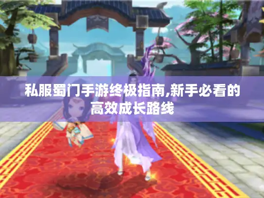 私服蜀门手游终极指南,新手必看的高效成长路线