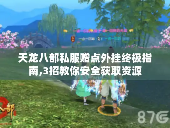 天龙八部私服赠点外挂终极指南,3招教你安全获取资源 天龙八部私服赠点外挂终极指南,3招教你安全获取资源
