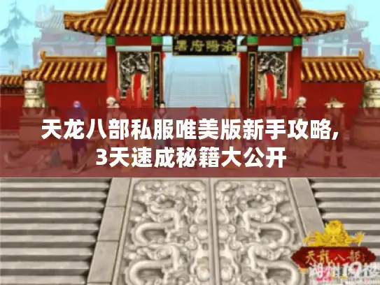 天龙八部私服唯美版新手攻略,3天速成秘籍大公开