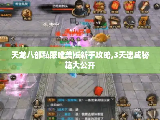 天龙八部私服唯美版新手攻略,3天速成秘籍大公开