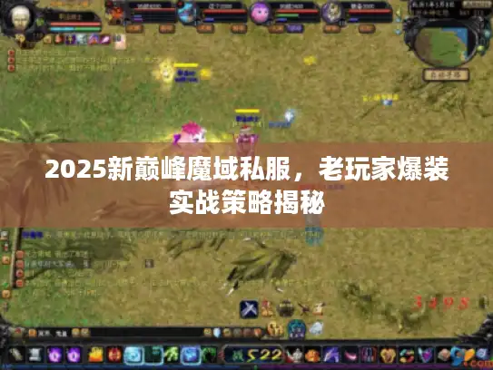 2025新巅峰魔域私服，老玩家爆装实战策略揭秘