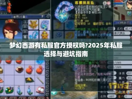 梦幻西游有私服官方授权吗?2025年私服选择与避坑指南