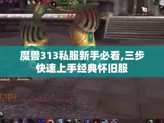 魔兽313私服新手必看,三步快速上手经典怀旧服