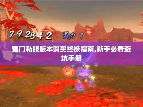 蜀门私服版本购买终极指南,新手必看避坑手册