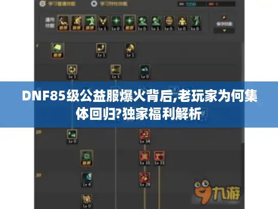 DNF85级公益服爆火背后,老玩家为何集体回归?独家福利解析 DNF85级公益服爆火背后,老玩家为何集体回归?独家福利解析