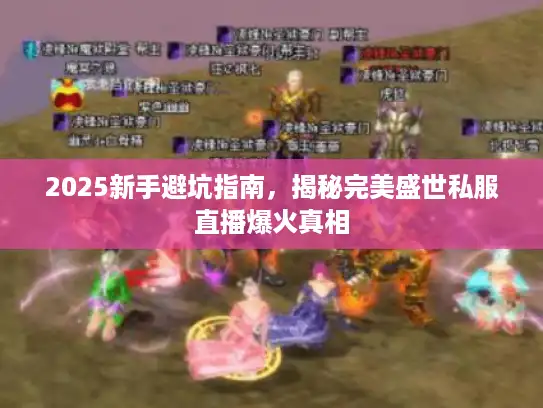 2025新手避坑指南，揭秘完美盛世私服直播爆火真相