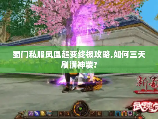 蜀门私服凤凰超变终极攻略,如何三天刷满神装?