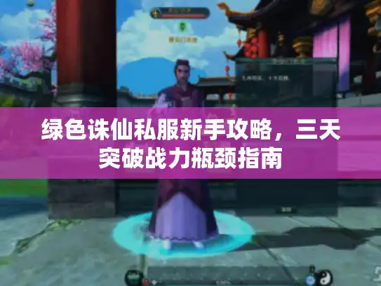 绿色诛仙私服新手攻略，三天突破战力瓶颈指南