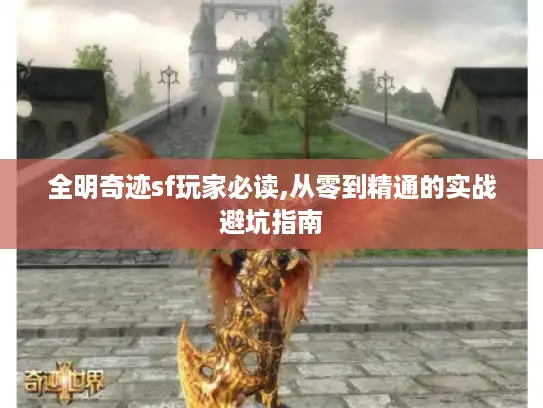 全明奇迹sf玩家必读,从零到精通的实战避坑指南
