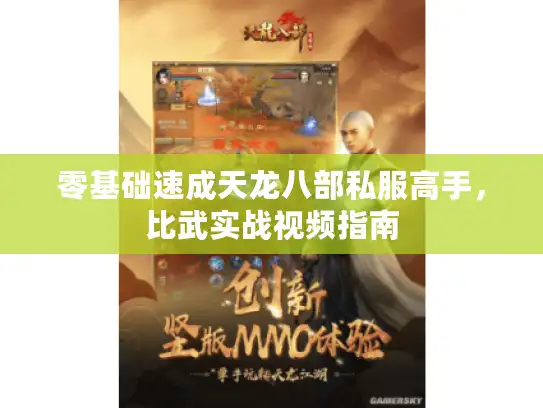 零基础速成天龙八部私服高手,比武实战视频指南 零基础速成天龙八部私服高手,比武实战视频指南