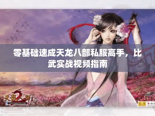 零基础速成天龙八部私服高手,比武实战视频指南 零基础速成天龙八部私服高手,比武实战视频指南