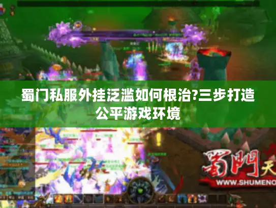 蜀门私服外挂泛滥如何根治?三步打造公平游戏环境