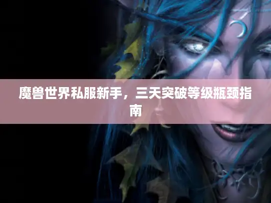 魔兽世界私服新手，三天突破等级瓶颈指南