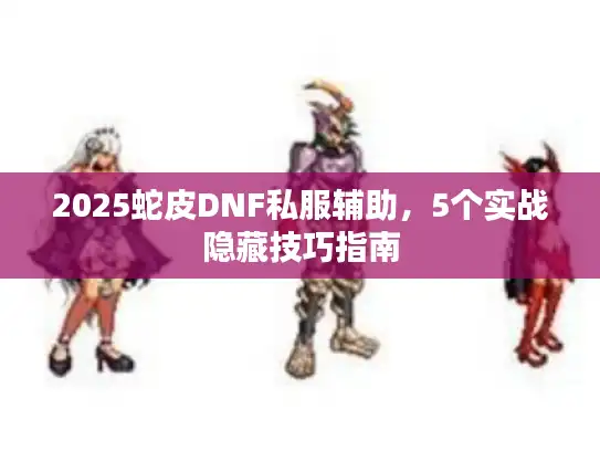 2025蛇皮DNF私服辅助，5个实战隐藏技巧指南