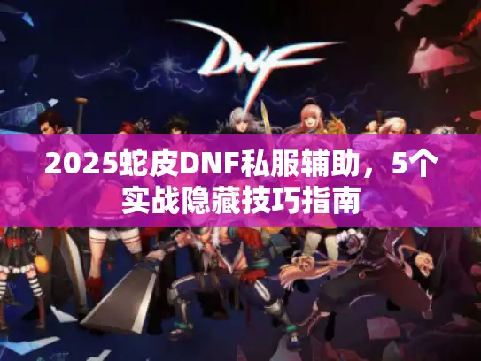 2025蛇皮DNF私服辅助，5个实战隐藏技巧指南