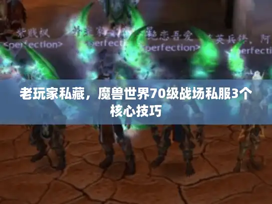 老玩家私藏，魔兽世界70级战场私服3个核心技巧
