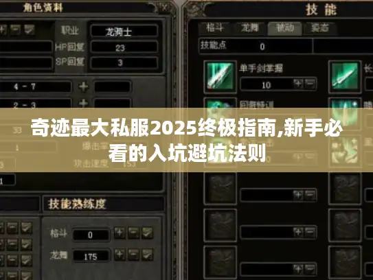 奇迹最大私服2025终极指南,新手必看的入坑避坑法则 奇迹最大私服2025终极指南,新手必看的入坑避坑法则