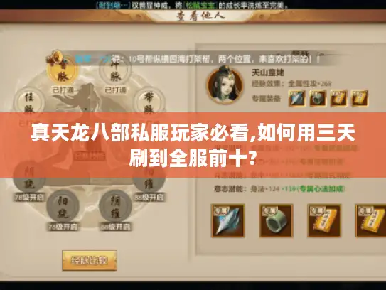 真天龙八部私服玩家必看,如何用三天刷到全服前十?