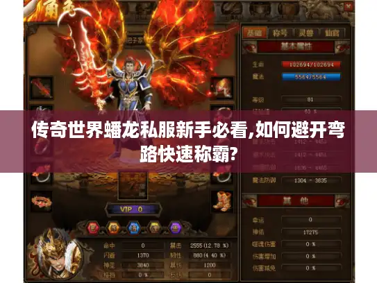 传奇世界蟠龙私服新手必看,如何避开弯路快速称霸?