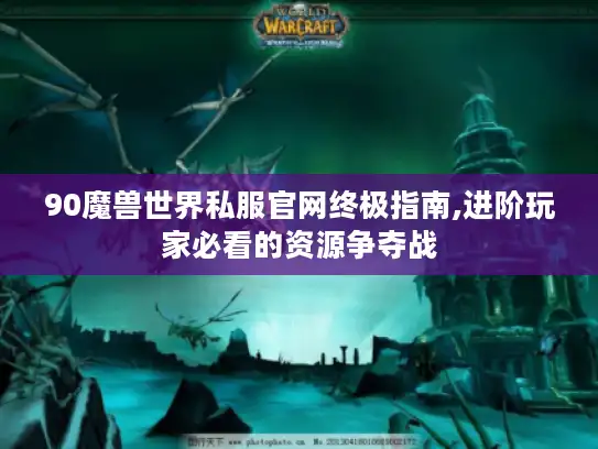 90魔兽世界私服官网终极指南,进阶玩家必看的资源争夺战