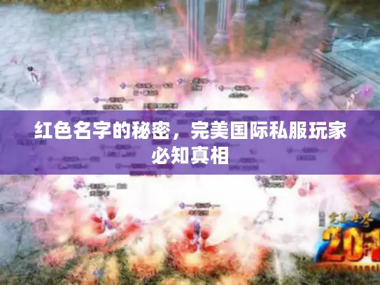 红色名字的秘密,完美国际私服玩家必知真相 红色名字的秘密,完美国际私服玩家必知真相