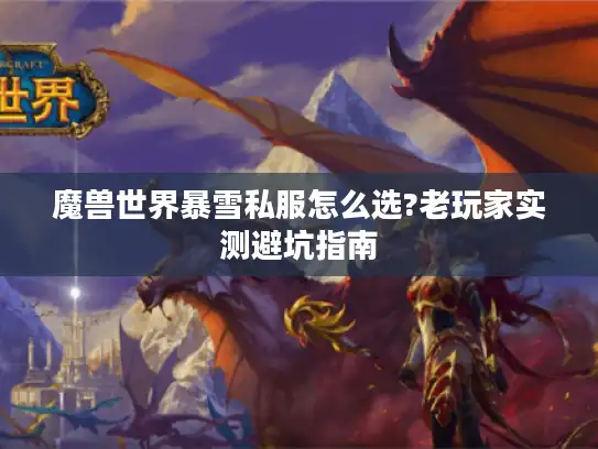 魔兽世界暴雪私服怎么选?老玩家实测避坑指南