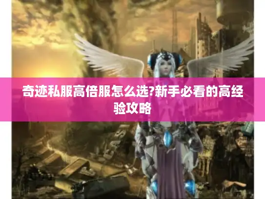 奇迹私服高倍服怎么选?新手必看的高经验攻略