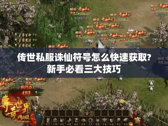 传世私服诛仙符号怎么快速获取?新手必看三大技巧