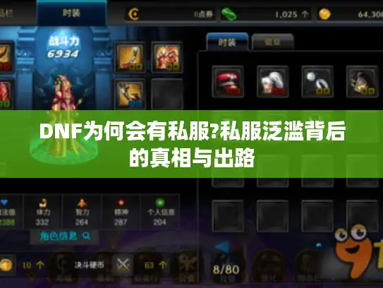 DNF为何会有私服?私服泛滥背后的真相与出路