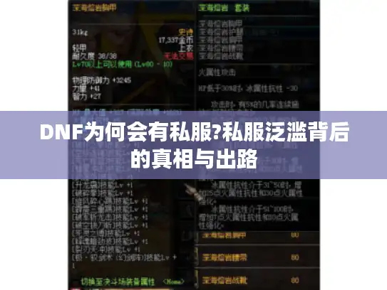 DNF为何会有私服?私服泛滥背后的真相与出路