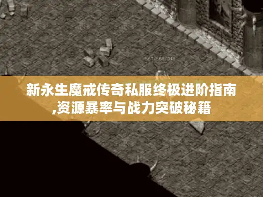 新永生魔戒传奇私服终极进阶指南,资源暴率与战力突破秘籍