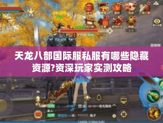 天龙八部国际服私服有哪些隐藏资源?资深玩家实测攻略