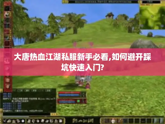 大唐热血江湖私服新手必看,如何避开踩坑快速入门? 大唐热血江湖私服新手必看,如何避开踩坑快速入门?