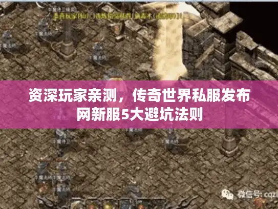 资深玩家亲测，传奇世界私服发布网新服5大避坑法则