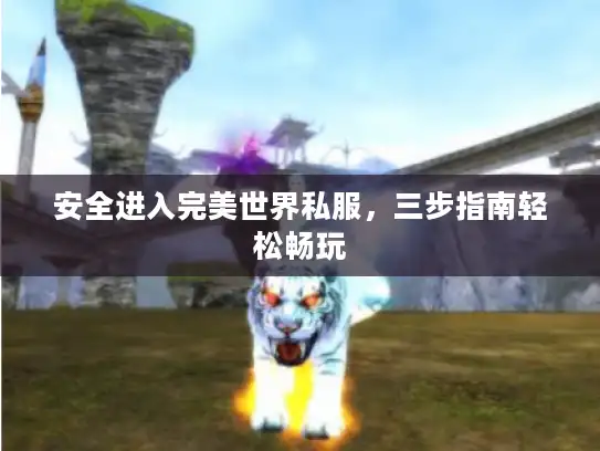 安全进入完美世界私服，三步指南轻松畅玩