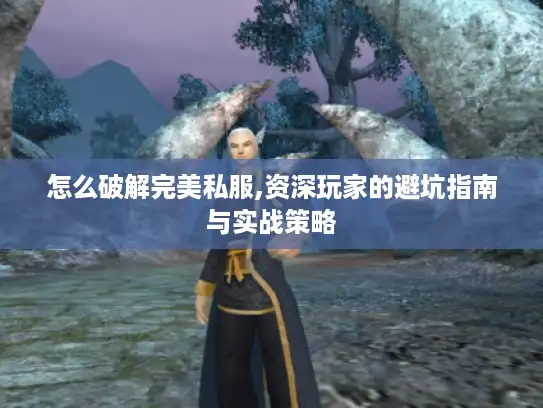 怎么破解完美私服,资深玩家的避坑指南与实战策略
