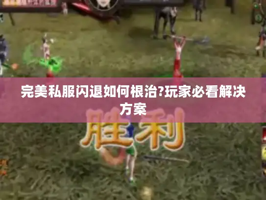 完美私服闪退如何根治?玩家必看解决方案