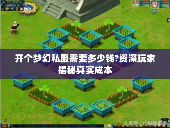开个梦幻私服需要多少钱?资深玩家揭秘真实成本