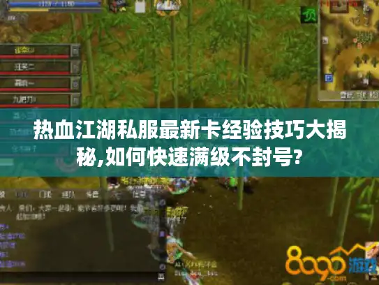 热血江湖私服最新卡经验技巧大揭秘,如何快速满级不封号?