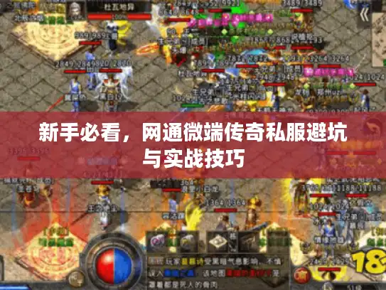 新手必看，网通微端传奇私服避坑与实战技巧