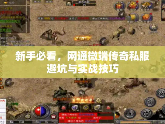 新手必看，网通微端传奇私服避坑与实战技巧
