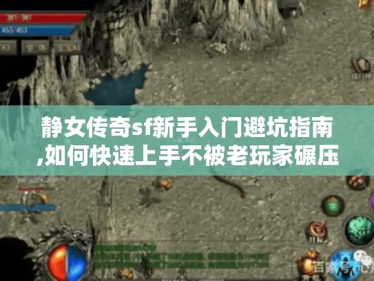 静女传奇sf新手入门避坑指南,如何快速上手不被老玩家碾压?