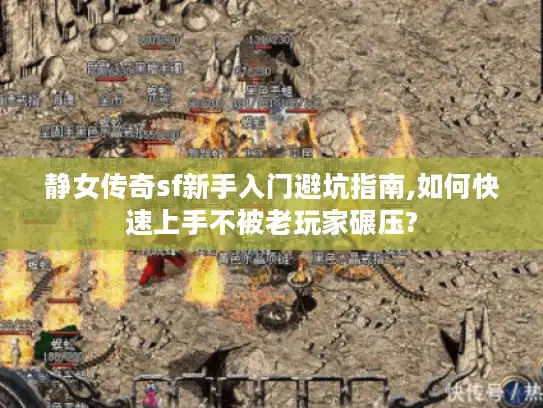 静女传奇sf新手入门避坑指南,如何快速上手不被老玩家碾压?