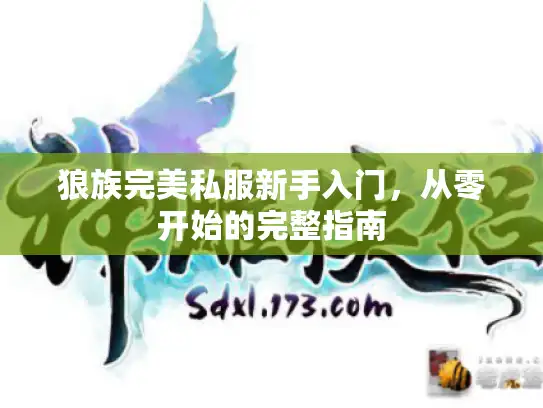狼族完美私服新手入门，从零开始的完整指南