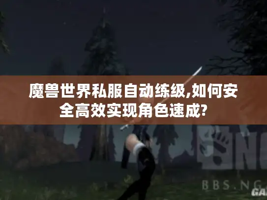 魔兽世界私服自动练级,如何安全高效实现角色速成?