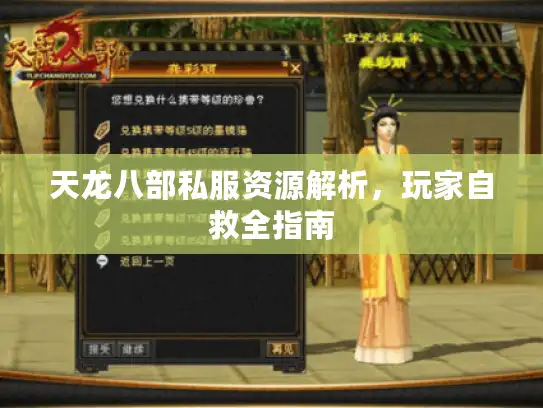 天龙八部私服资源解析，玩家自救全指南