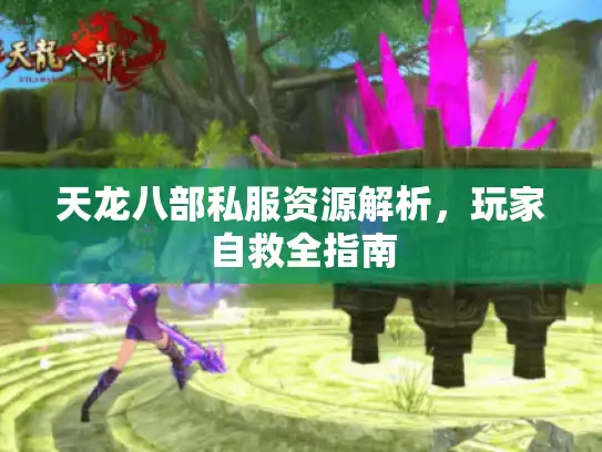 天龙八部私服资源解析，玩家自救全指南
