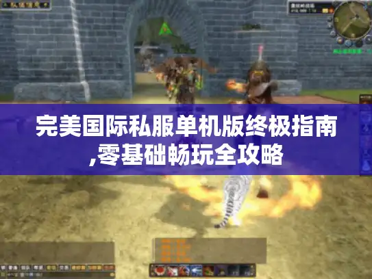 完美国际私服单机版终极指南,零基础畅玩全攻略