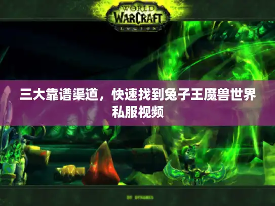 三大靠谱渠道，快速找到兔子王魔兽世界私服视频